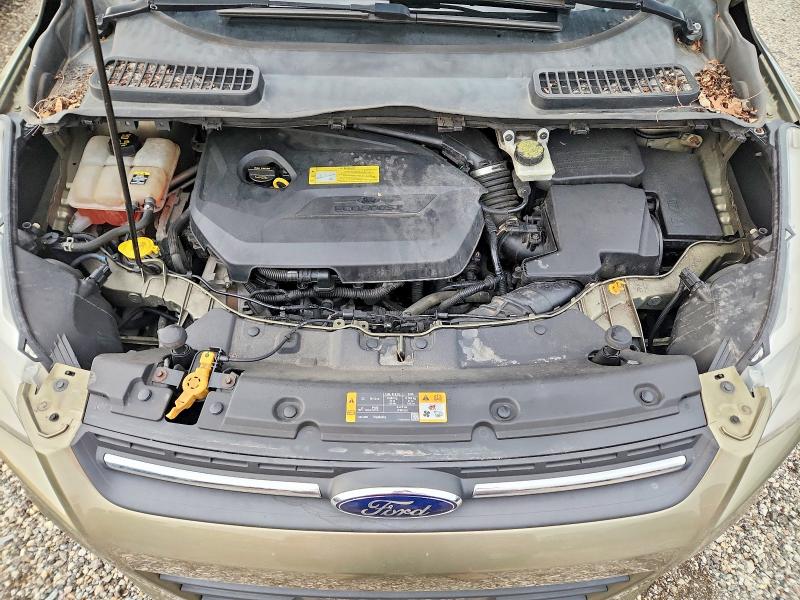 2013 Ford Escape მანქანა იყიდება აუქციონზე, vin: 1FMCU0GX6DUB62505, აუქციონის ნომერი: 64563766
