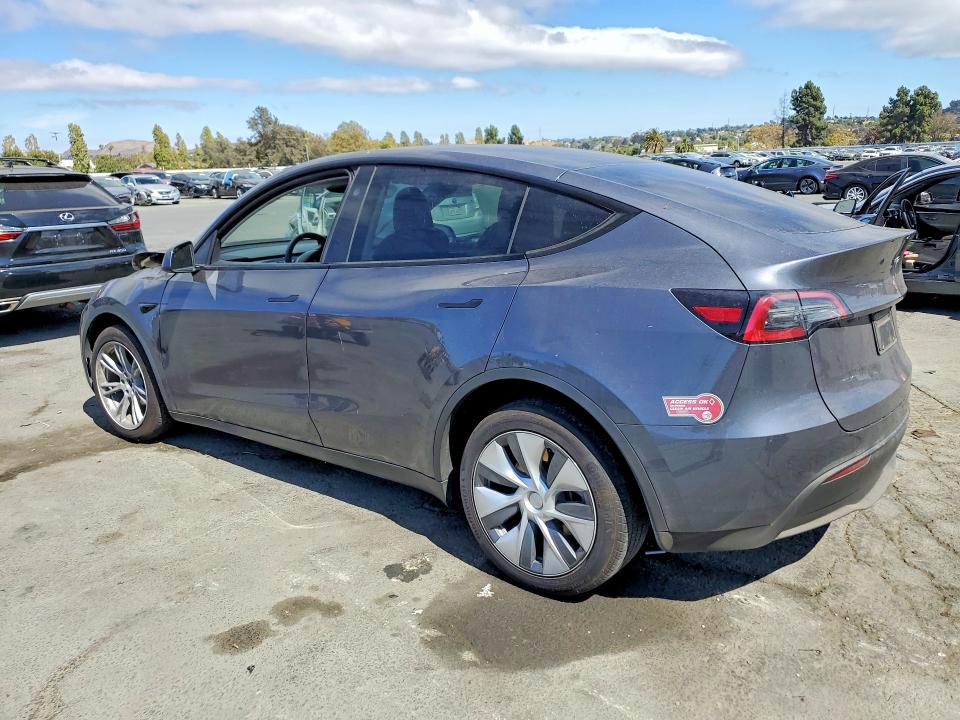 Продаж на аукціоні авто 2023 Tesla Model Y, vin: 7SAYGDEE9PF913283, номер лоту: 65310586