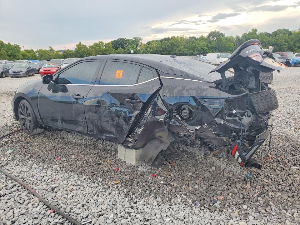 Продаж на аукціоні авто 2021 Nissan Maxima, vin: 1N4AA6EV6MC502448, номер лоту: 64281426