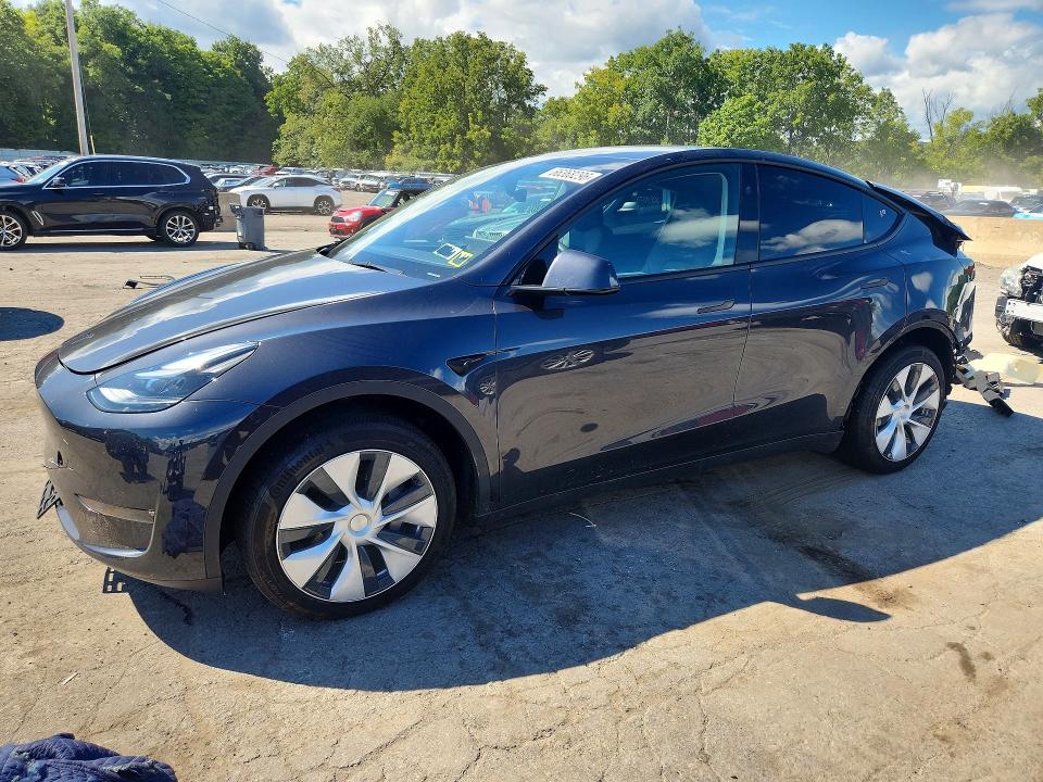 Продаж на аукціоні авто 2024 Tesla Model Y, vin: 7SAYGDEE1RF034198, номер лоту: 66368296