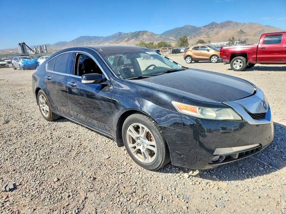 2009 Acura Tl მანქანა იყიდება აუქციონზე, vin: 19UUA86599A008462, აუქციონის ნომერი: 65733006