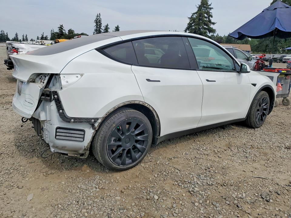 65055116 :رقم المزاد ، 5YJYGDEE8LF020237 vin ، 2020 Tesla Model Y مزاد بيع
