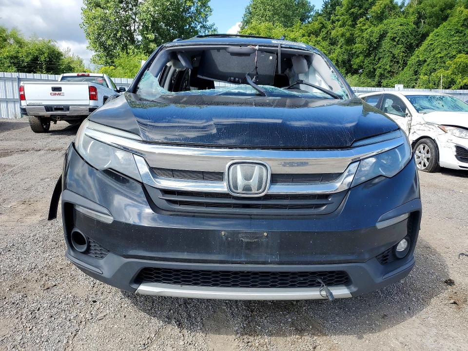Продаж на аукціоні авто 2019 Honda Pilot, vin: 5FNYF6H3XKB504482, номер лоту: 66556286