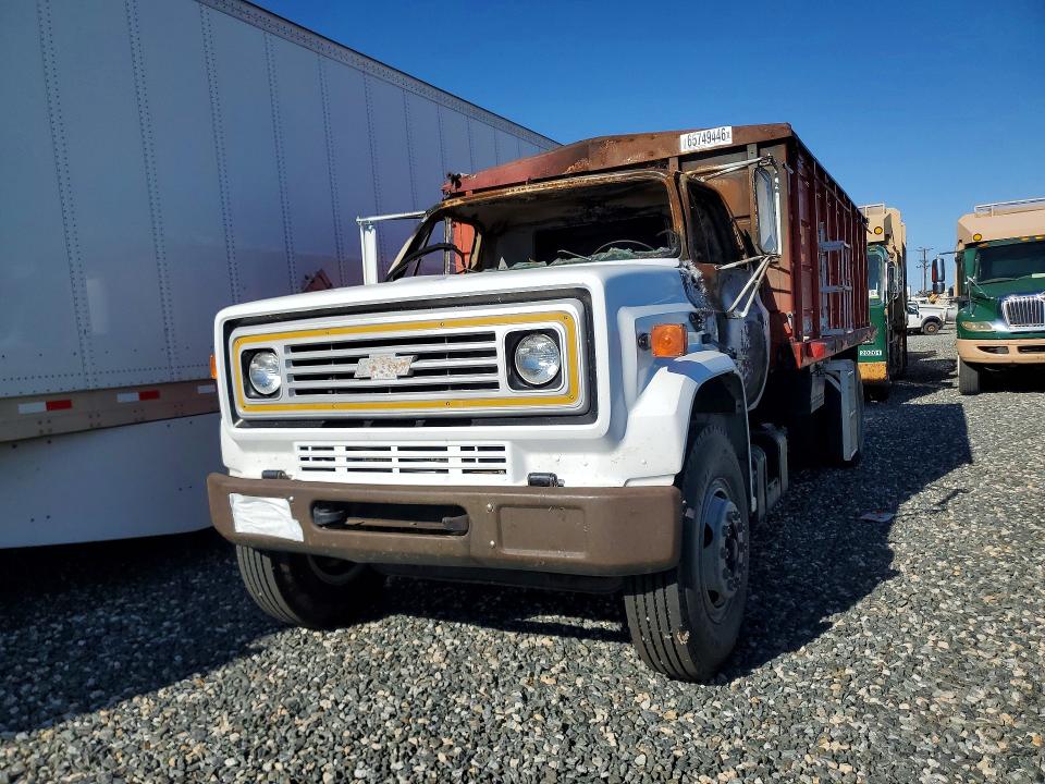65749446 :رقم المزاد ، 1GBL7D1EXBV131327 vin ، 1981 Chevrolet C7 مزاد بيع