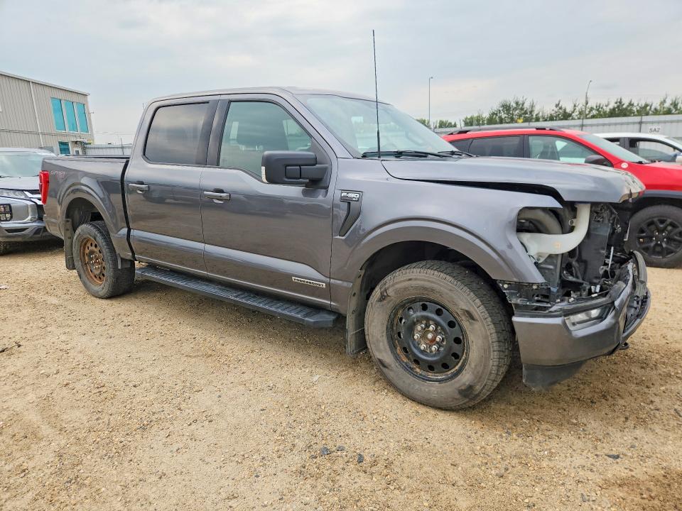 Aukcja sprzedaży 2022 Ford F150, vin: 1FTFW1ED5NFB27955, numer aukcji: 64577716