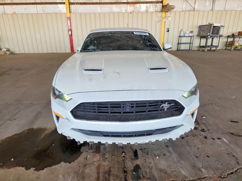 Продаж на аукціоні авто 2019 Ford Mustang, vin: 1FA6P8CF9K5120525, номер лоту: 67203576