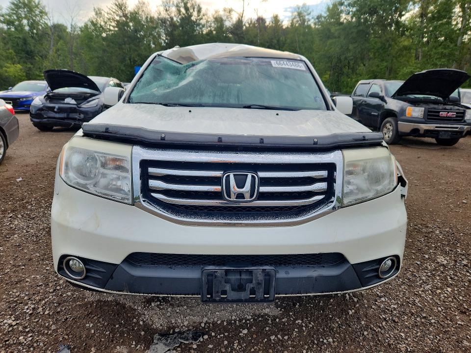 Продаж на аукціоні авто 2014 Honda Pilot, vin: 5FNYF4H48EB501937, номер лоту: 66443486