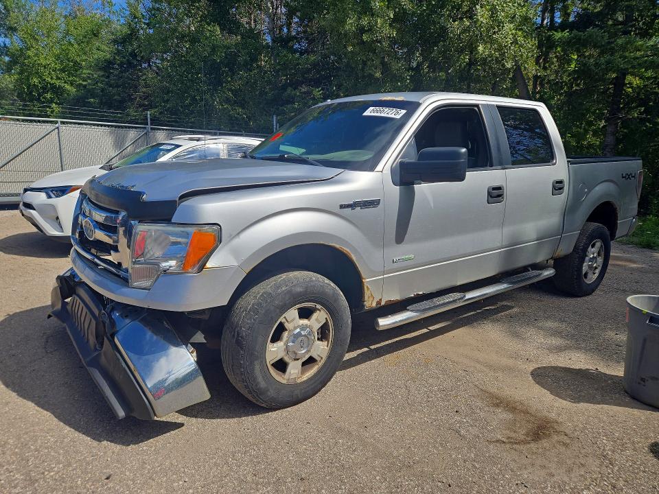 2011 Ford F150 მანქანა იყიდება აუქციონზე, vin: 1FTFW1ET4BFC14782, აუქციონის ნომერი: 66667276
