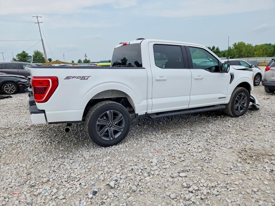 Продажа на аукционе авто 2023 Ford F150, vin: 1FTFW1ED0PFD09341, номер лота: 63932826