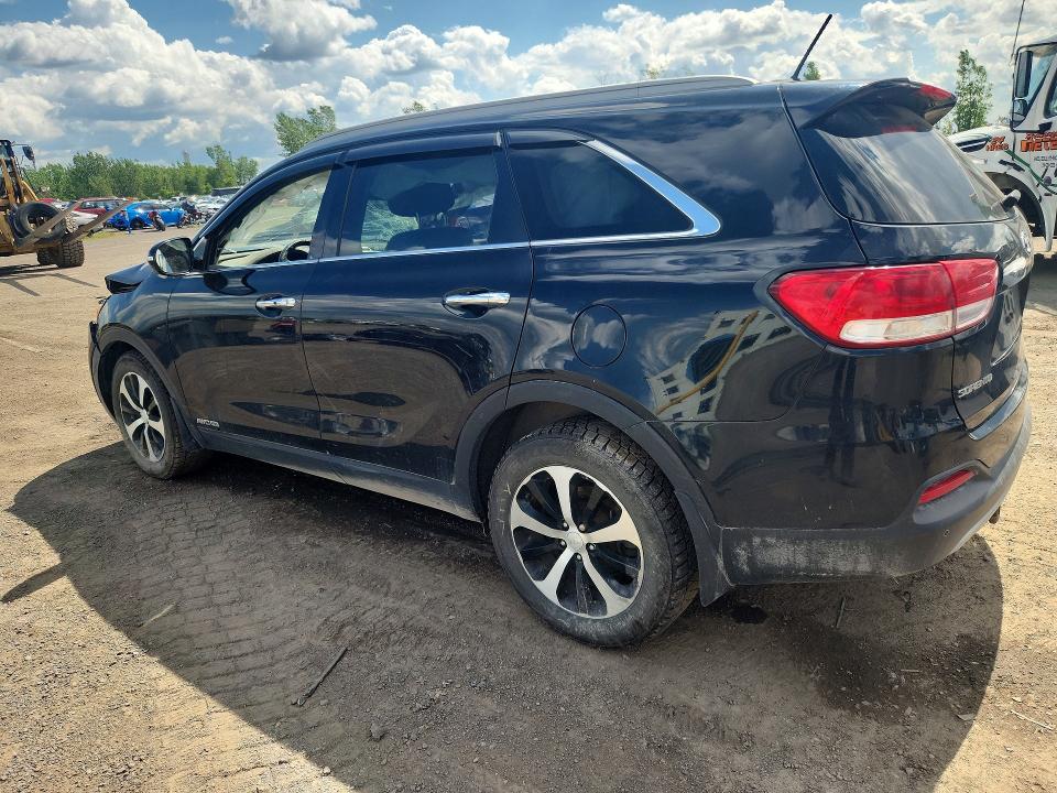 64551446 :رقم المزاد ، 5XYPHDA55GG009841 vin ، 2016 Kia Sorento مزاد بيع