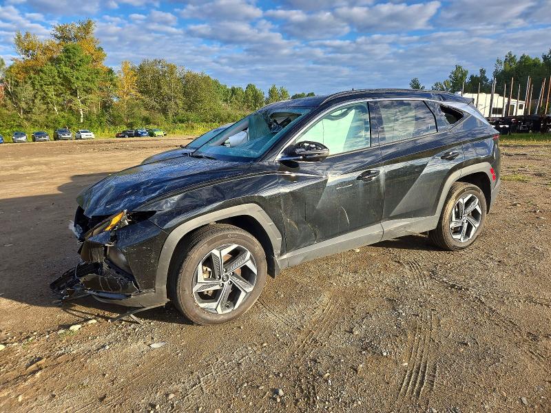 2024 Hyundai Tucson მანქანა იყიდება აუქციონზე, vin: KM8JCCD17RU208393, აუქციონის ნომერი: 63492476