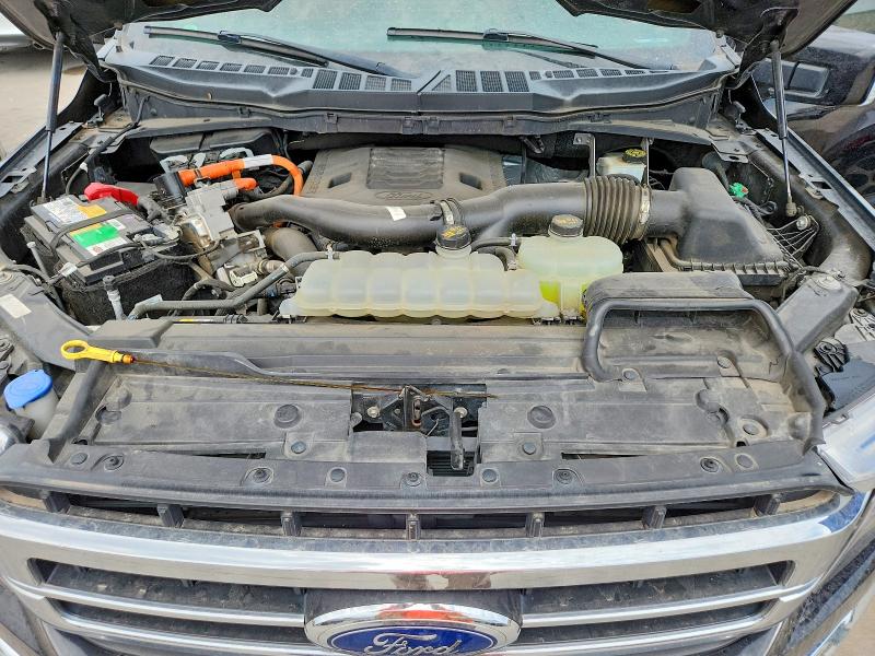 66343316 :رقم المزاد ، 1FTFW1CD8MFB77511 vin ، 2021 Ford F150 مزاد بيع