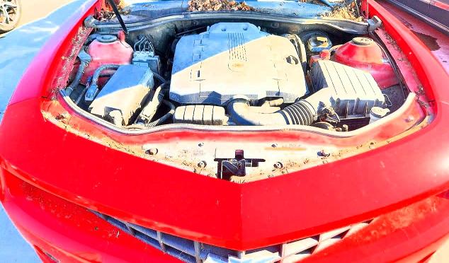 2010 Chevrolet Camaro მანქანა იყიდება აუქციონზე, vin: 2G1FB1EVXA9217232, აუქციონის ნომერი: 63584806