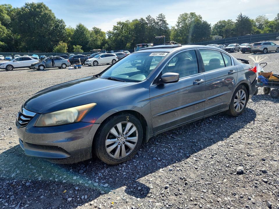 2011 Honda Accord მანქანა იყიდება აუქციონზე, vin: 1HGCP2F80BA087317, აუქციონის ნომერი: 66027466