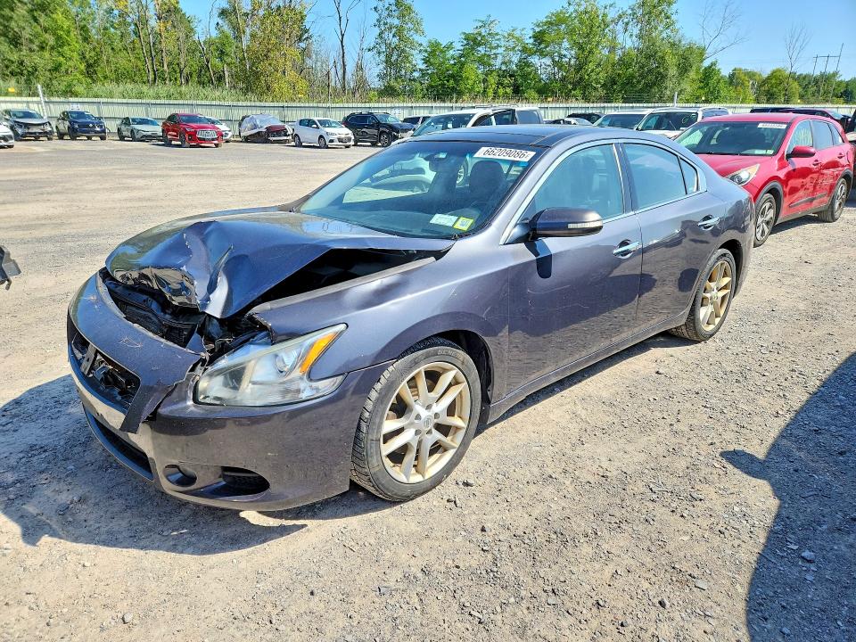 Продаж на аукціоні авто 2011 Nissan Maxima, vin: 1N4AA5AP2BC833896, номер лоту: 66209086