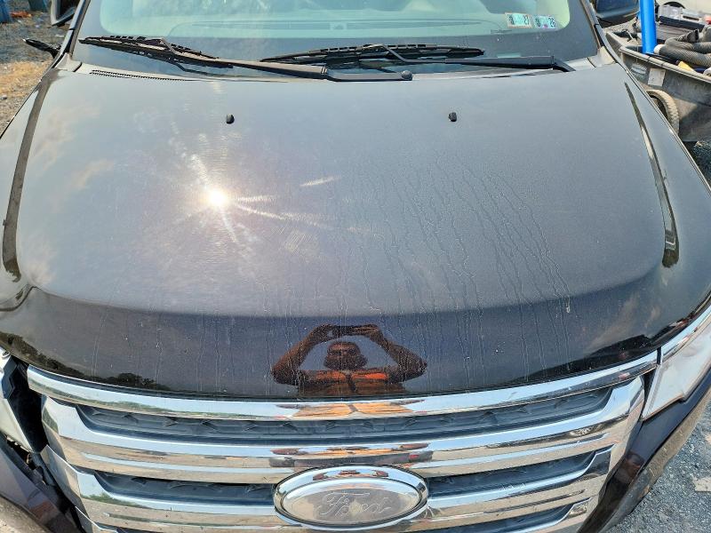 64908976 :رقم المزاد ، 2FMDK4JC1DBB49609 vin ، 2013 Ford Edge مزاد بيع