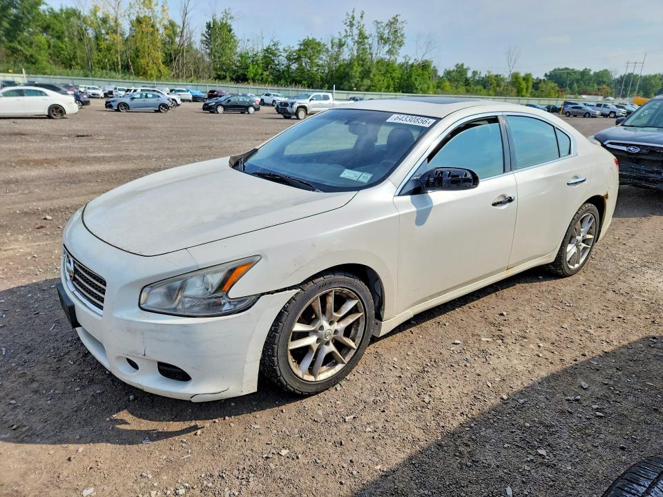 Продаж на аукціоні авто 2009 Nissan Maxima, vin: 1N4AA51E29C829954, номер лоту: 64330856