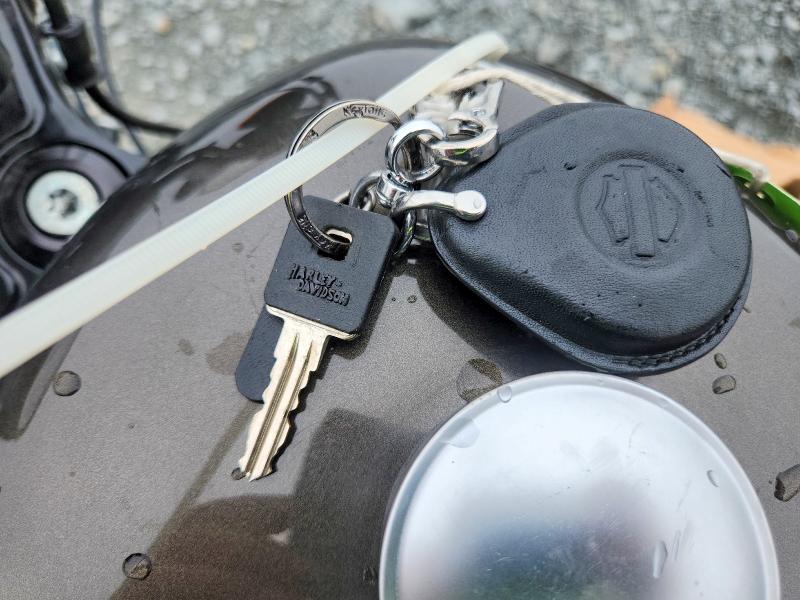 2020 Harley-davidson Xl883 მანქანა იყიდება აუქციონზე, vin: 5HD4LE231LB403532, აუქციონის ნომერი: 65682376