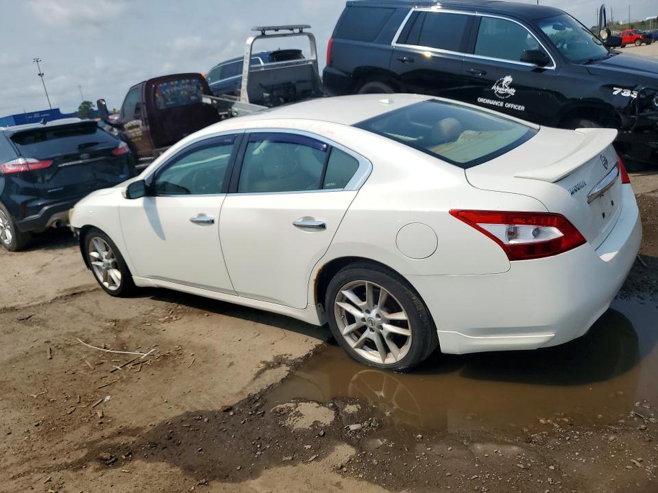 2011 Nissan Maxima მანქანა იყიდება აუქციონზე, vin: 1N4AA5AP2BC868955, აუქციონის ნომერი: 64256566
