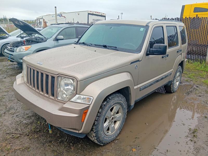Продаж на аукціоні авто 2011 Jeep Liberty, vin: 1J4PN2GK9BW524812, номер лоту: 67152676