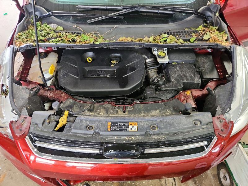 2015 Ford Escape მანქანა იყიდება აუქციონზე, vin: 1FMCU9J9XFUC42276, აუქციონის ნომერი: 63779636