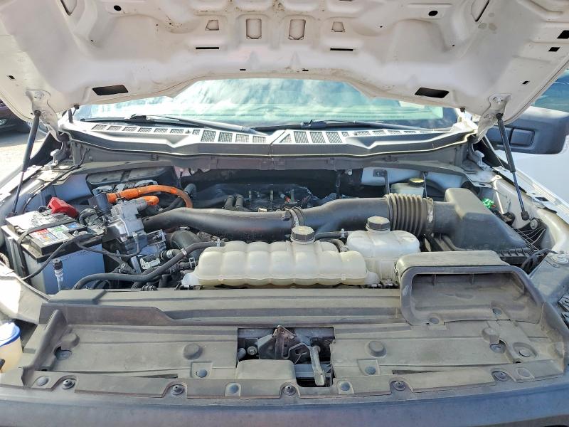 64240256 :رقم المزاد ، 1FTFW1CD3MFC65690 vin ، 2021 Ford F150 مزاد بيع