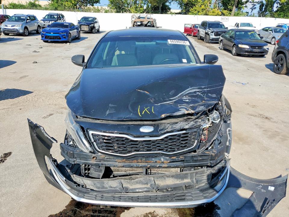 66590236 :رقم المزاد ، KNAGM4AD5D5055674 vin ، 2013 Kia Optima مزاد بيع