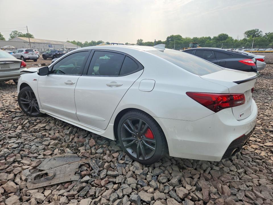64304396 :رقم المزاد ، 19UUB2F69KA003710 vin ، 2019 Acura Tlx مزاد بيع