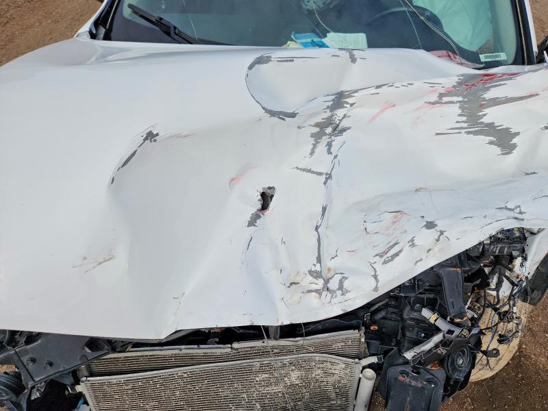 2020 Kia Sorento მანქანა იყიდება აუქციონზე, vin: 5XYPG4A34LG627485, აუქციონის ნომერი: 64453976