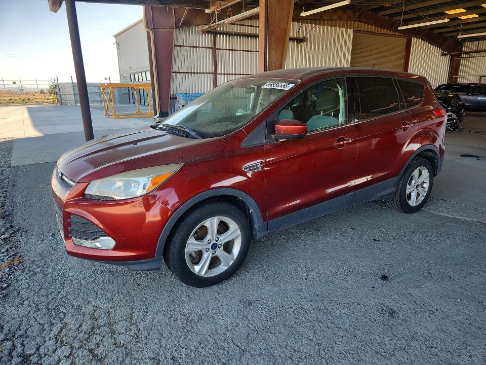 2014 Ford Escape მანქანა იყიდება აუქციონზე, vin: 1FMCU0GX4EUC46002, აუქციონის ნომერი: 65656566