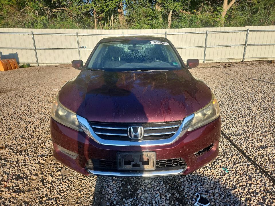 2014 Honda Accord მანქანა იყიდება აუქციონზე, vin: 1HGCR2F54EA055491, აუქციონის ნომერი: 66315836