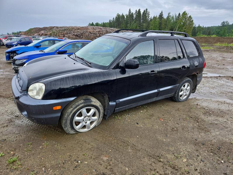 Продажа на аукционе авто 2005 Hyundai Santa Fe, vin: KM8SB13D25U900143, номер лота: 54661226