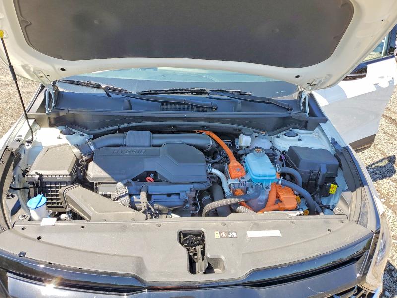 63426576 :رقم المزاد ، KNDPYDDH3S7268095 vin ، 2025 Kia Sportage مزاد بيع