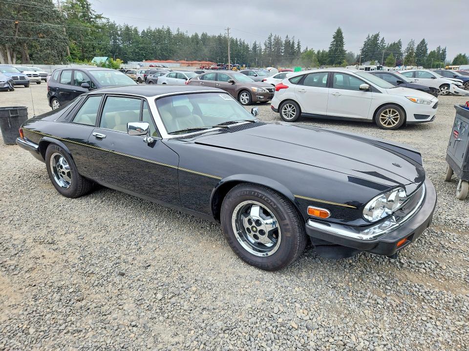 Продаж на аукціоні авто 1983 Jaguar Xjs, vin: SAJNV584XDC110152, номер лоту: 64301696