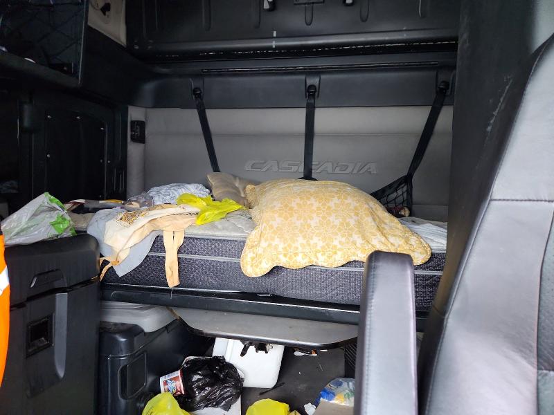 Aukcja sprzedaży 2019 Freightliner Cascadia 126, vin: 3AKJHHDR9KSKB4130, numer aukcji: 65085226