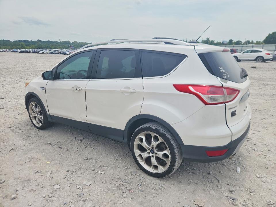 Продаж на аукціоні авто 2014 Ford Escape, vin: 1FMCU9J94EUD78272, номер лоту: 64406746