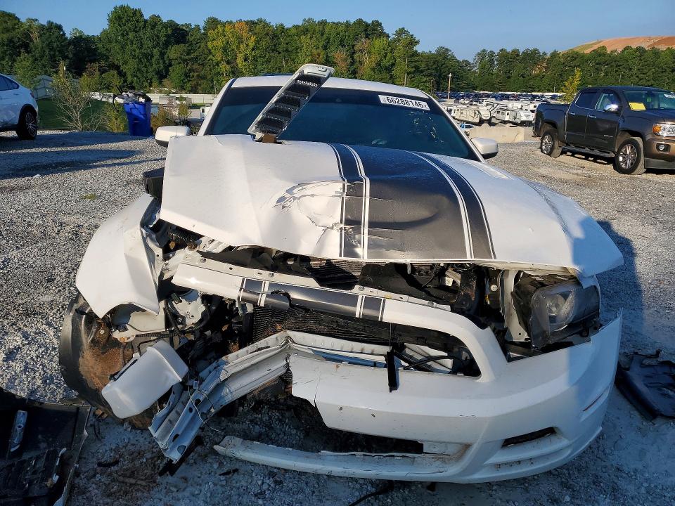 2013 Ford Mustang მანქანა იყიდება აუქციონზე, vin: 1ZVBP8CU5D5273832, აუქციონის ნომერი: 66288146
