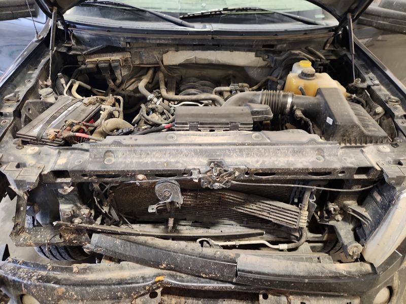 64915796 :رقم المزاد ، 1FTFX1EFXEKG49499 vin ، 2014 Ford F150 مزاد بيع