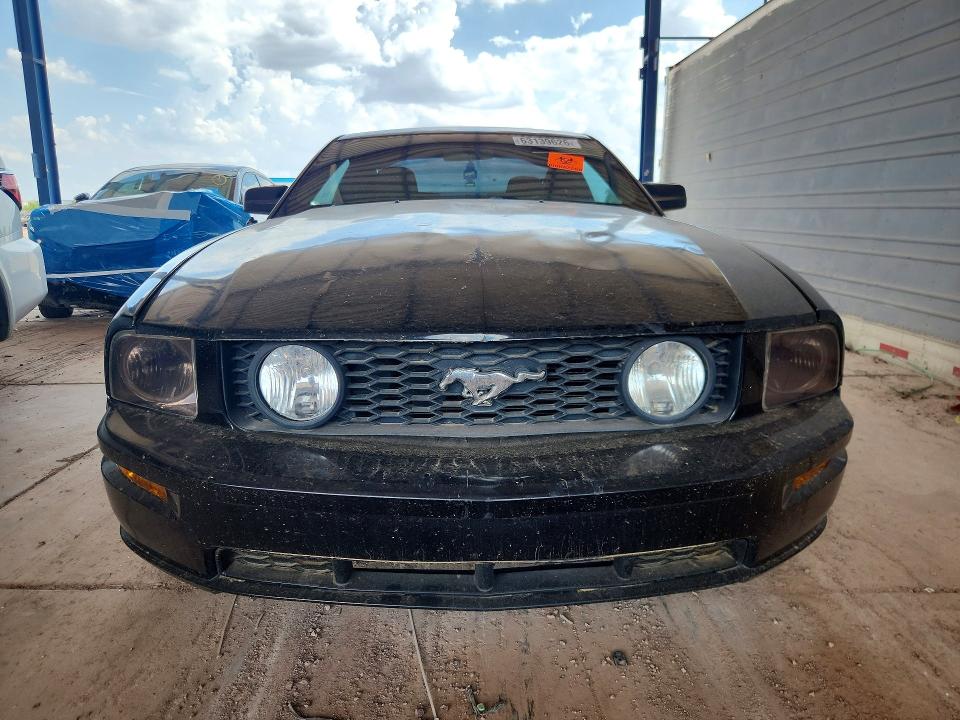 Продаж на аукціоні авто 2005 Ford Mustang, vin: 1ZVHT82H955168478, номер лоту: 63139626