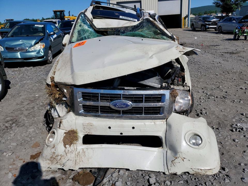 Продаж на аукціоні авто 2010 Ford Escape, vin: 1FMCU9EG5AKC71665, номер лоту: 63402246
