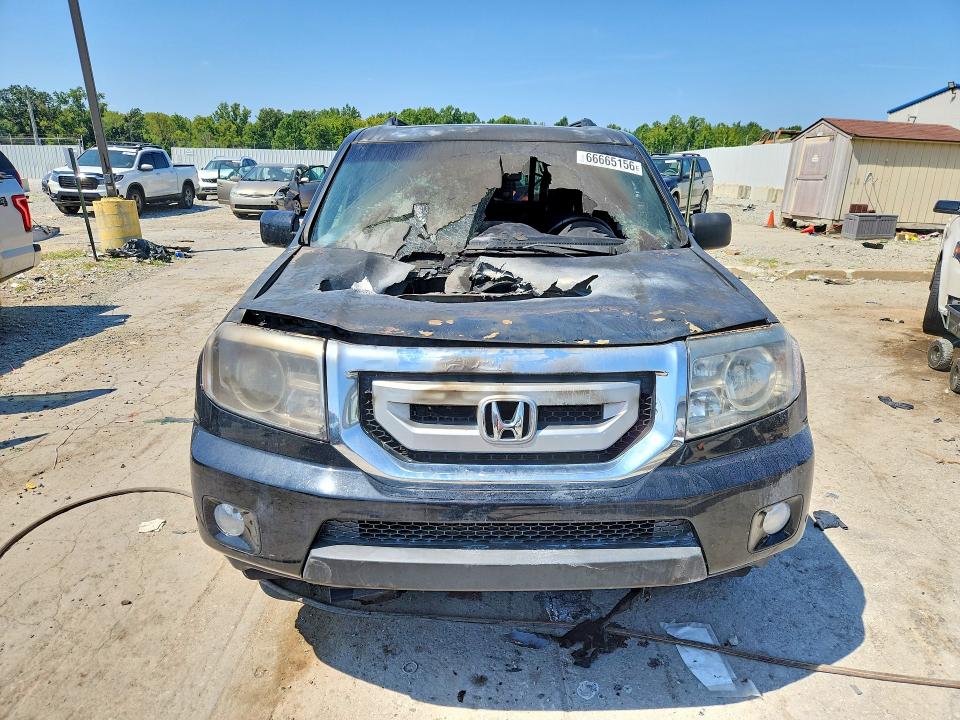 Продаж на аукціоні авто 2009 Honda Pilot, vin: 5FNYF38919B009147, номер лоту: 66665156
