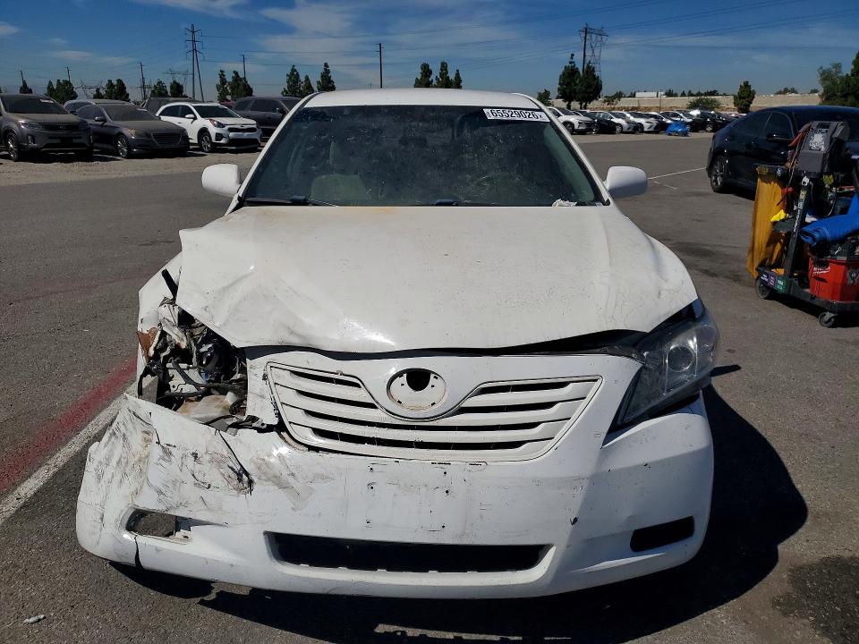 Продаж на аукціоні авто 2009 Toyota Camry, vin: 4T4BE46K69R118507, номер лоту: 65529026