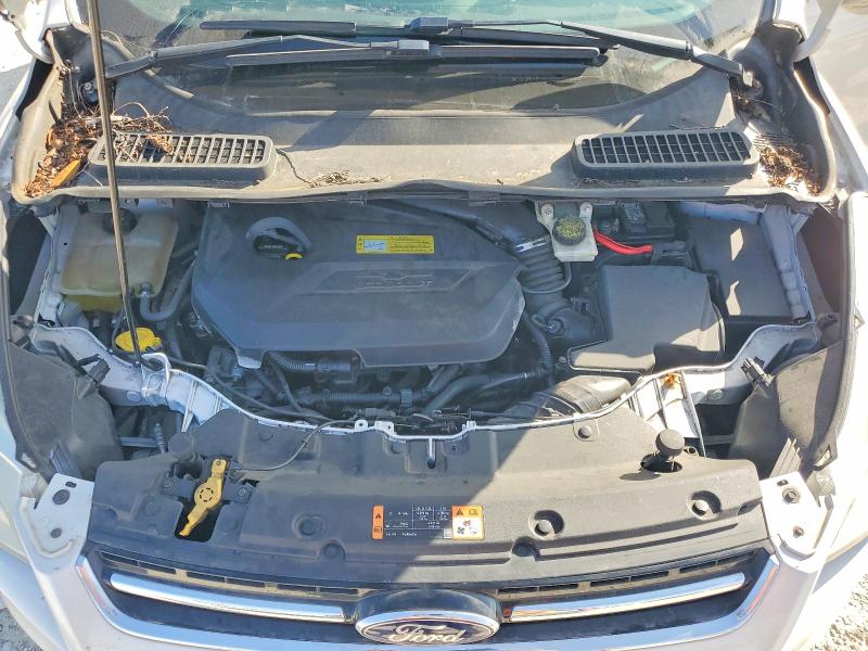 Продаж на аукціоні авто 2014 Ford Escape, vin: 1FMCU0JX6EUC44471, номер лоту: 66039406