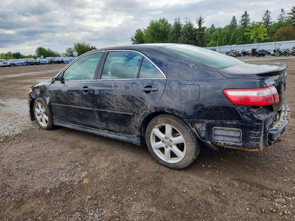 65163356 :رقم المزاد ، 4T1BE46K89U848333 vin ، 2009 Toyota Camry مزاد بيع