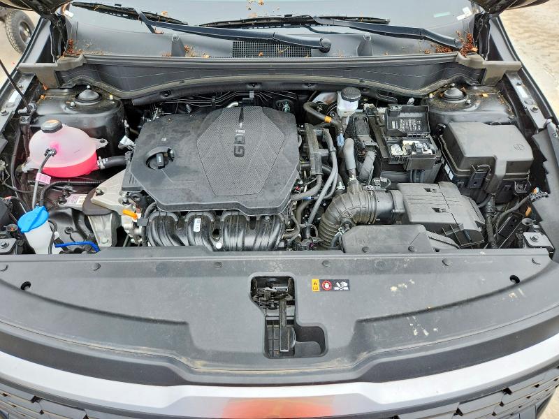64238756 :رقم المزاد ، 5XYK23DF6TG380737 vin ، 2026 Kia Sportage مزاد بيع