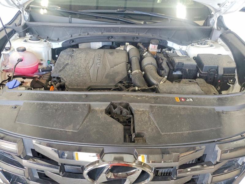64182966 :رقم المزاد ، 5NTJEDDF2RH108097 vin ، 2024 Hyundai Santa Cruz مزاد بيع