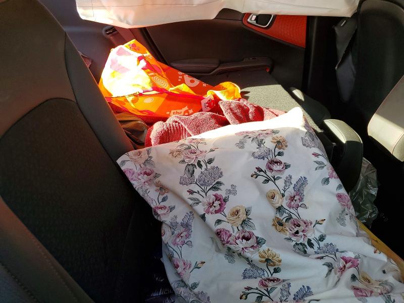Aukcja sprzedaży 2023 Kia Soul, vin: KNDJ53AU6P7846241, numer aukcji: 65552936