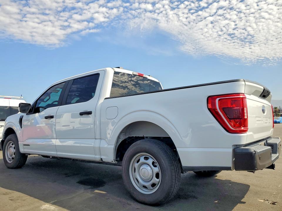 64240256 :رقم المزاد ، 1FTFW1CD3MFC65690 vin ، 2021 Ford F150 مزاد بيع