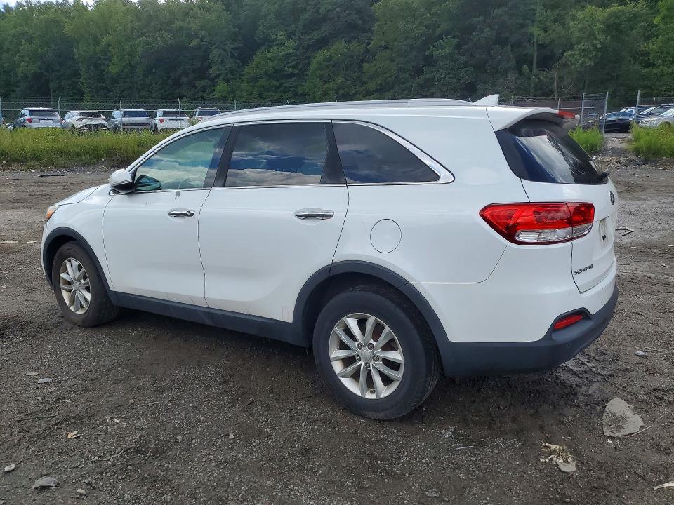 66081746 :رقم المزاد ، 5XYPG4A33GG123094 vin ، 2016 Kia Sorento مزاد بيع