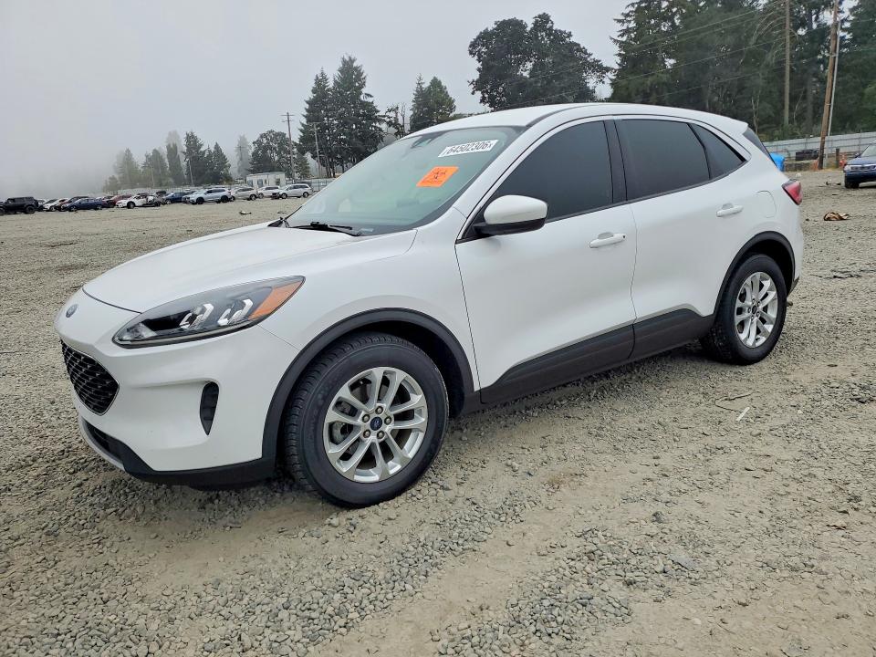Продаж на аукціоні авто 2020 Ford Escape, vin: 1FMCU0G60LUB13337, номер лоту: 64502306